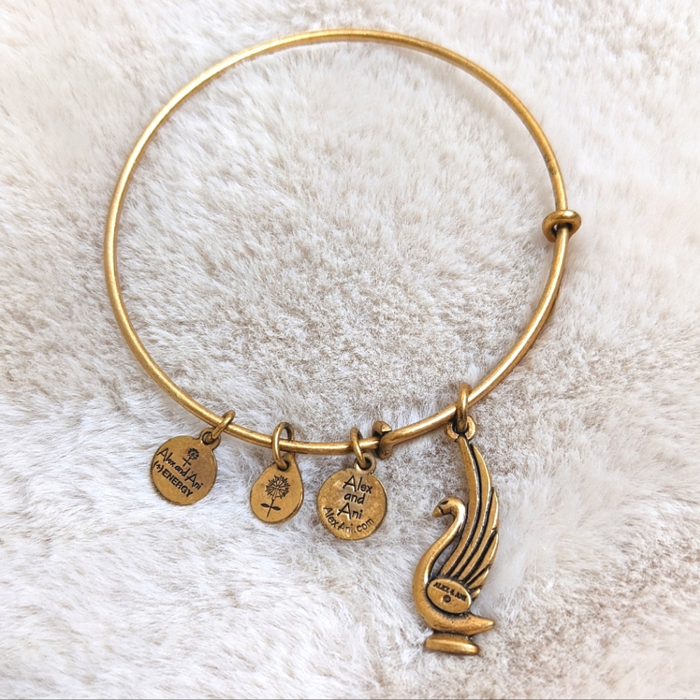 Alex & Ani Bangle Bracelet